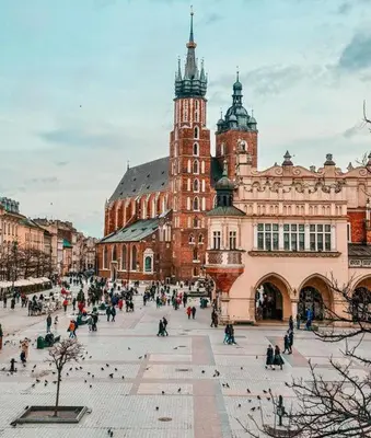 a large building with a clock tower in a city at Apartament w zabytkowej kamienicy, Strzelecka 19 in Kraków