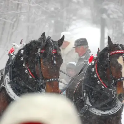 Koperkowe Rancho Beskid Wyspowy Domek Małopolskie KAMIONNA