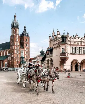 two horses pulling a carriage in a city at Stylowy apartament w samym centrum Krakowa in Kraków