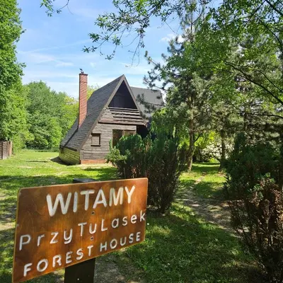 a sign in the grass in front of a house at PrzyTuLasek - domek pod lasem w sercu natury, blisko Energylandii in Zator