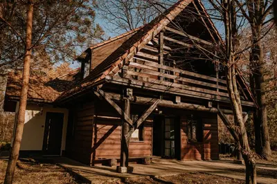 a log cabin in the woods with trees at Domek Zacisze Zator Graboszyce in Graboszyce