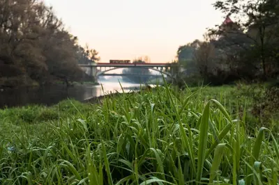 a field of grass with a bridge in the background at Apartament Powstańców 19 in Oświęcim