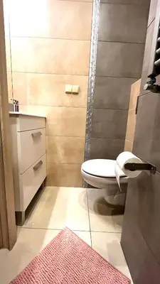 a bathroom with a toilet and a shower and a rug at Small Studio for 1 in Kraków