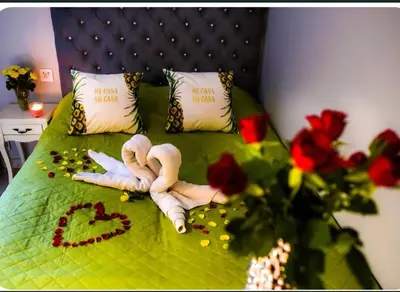 a person is laying on a bed with roses at Jacuzzi-Sauna apartament in Kraków
