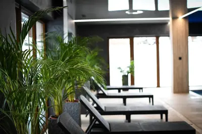 a room with chairs and potted plants and windows at Pensjonat Zdrojowy in Rabka