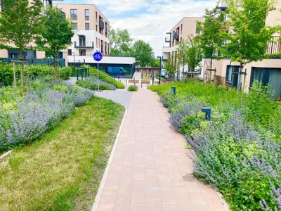 a walkway in a city with purple flowers at Apartament Łagiewniki in Kraków