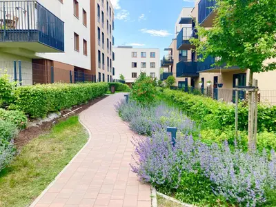 a walkway with purple flowers next to buildings at Apartament Łagiewniki in Kraków