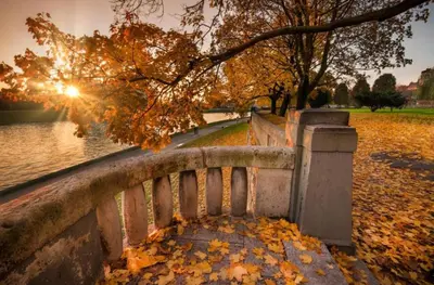 a park bench with leaves on it next to a lake at Spa Bath Apartment in Kraków